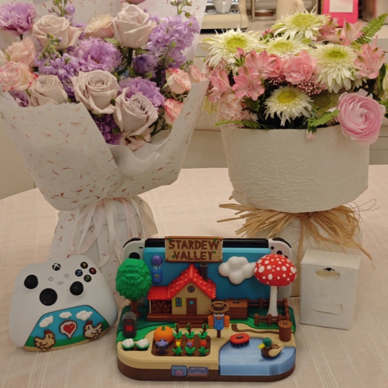 Switch Dock Stardew Valley Far - Gaming Console And review and price